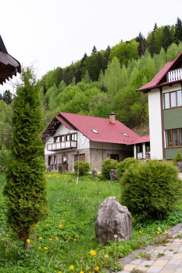 Vila Kamyanka Jaremče Exteriér fotografie